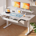 COMHOMA Electric Standing Desk with Drawers, 48 x 24'' Sit Stand up Desk with Monitor Stand, Laptop Stand, Height Adjustable Ergonomic Home Office Computer Desk with Memory Preset Controller