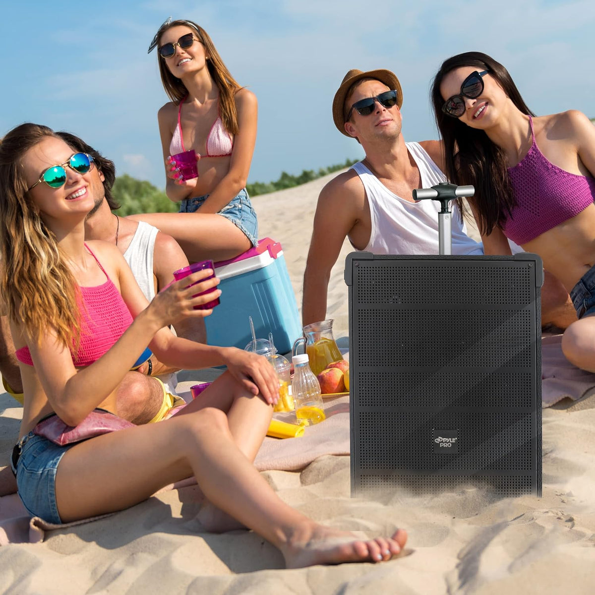 Pyle 8'' Portable Wireless Bluetooth Speaker System - Built-in Rechargeable Battery, Wireless Microphone, USB/Micro SD/FM - 350 Watt - FM Radio with Digital LED Display, PWMA899A