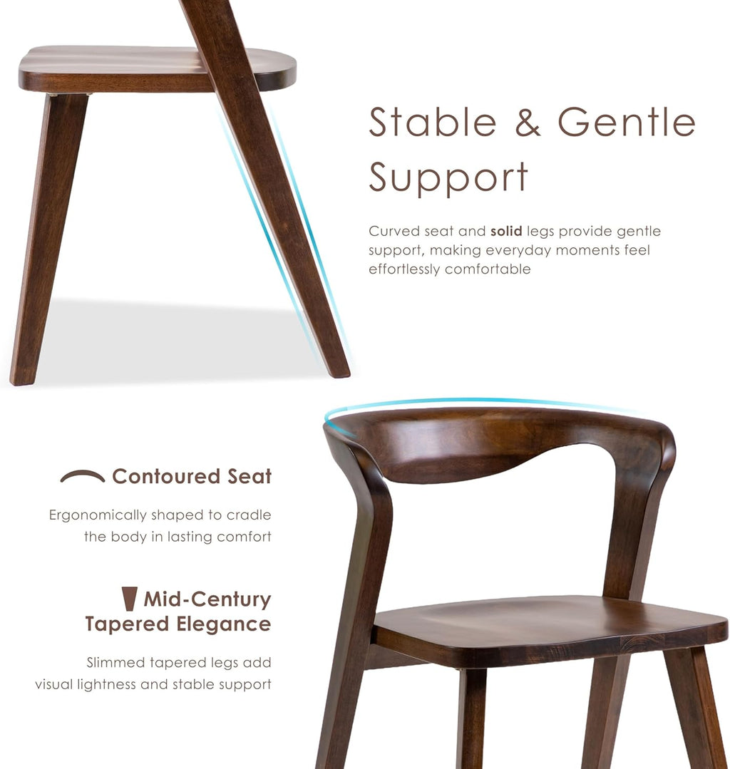 Furniture of America Nazaen III Mid-Century Modern Wood 21.5-inch Side Chairs with Rounded Backrest and Semi-Handmade for Home Kitchen, Dining Room, Rich Walnut (Set of 2)