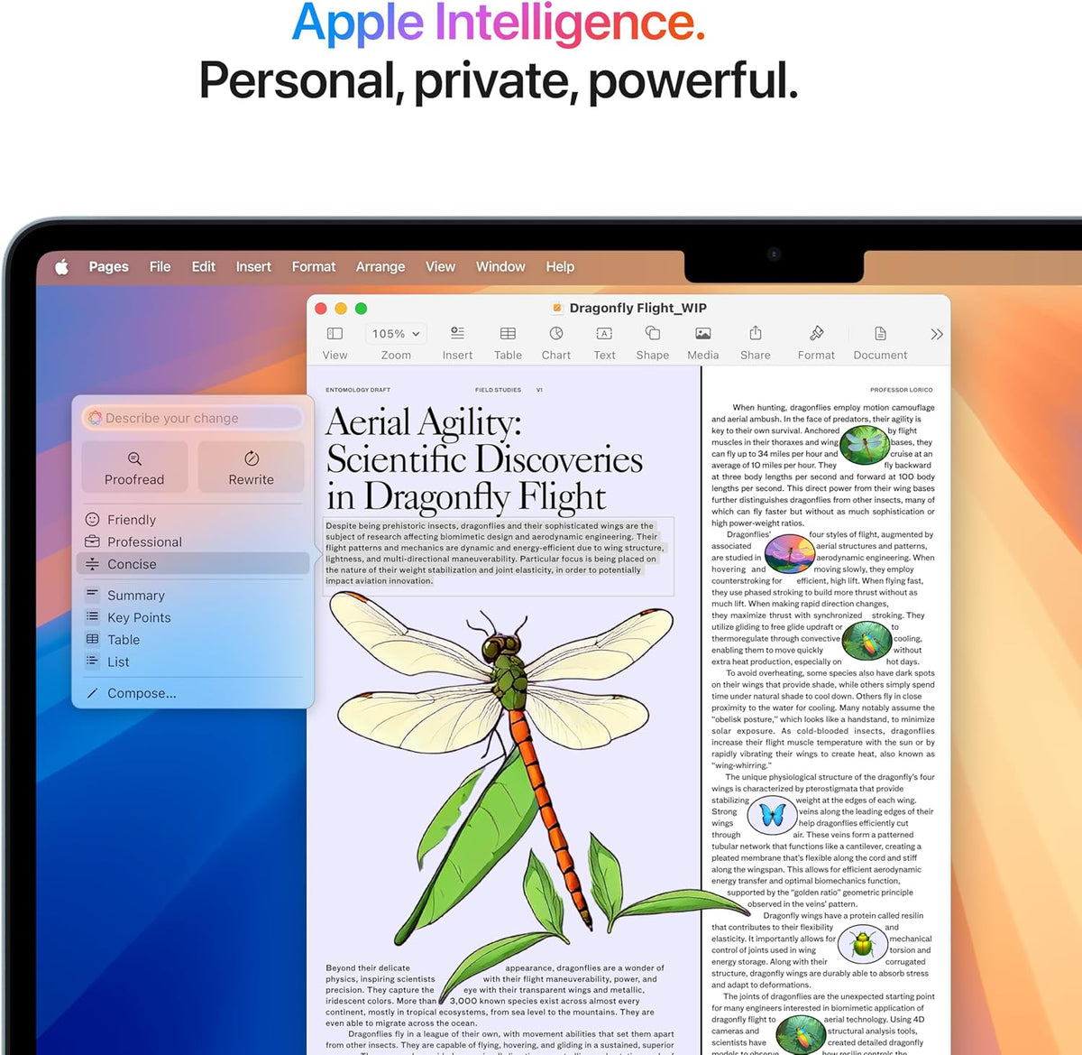 Apple 2025 MacBook Air with Apple M4 Chip, 13-inch, 16GB RAM, 512GB SSD Storage Sky Blue (Renewed)
