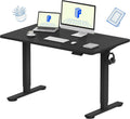 FLEXISPOT EN1 One-Piece Standing Desk, Electric Adjustable with 4 Memory Presets, 176 LBS Capacity, Stable & Quiet, Seamless Desktop for Home Office & Dual Monitors, 48"x24" Black